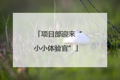 项目部迎来“小小体验官”