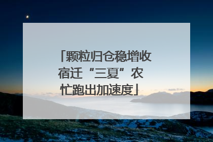 颗粒归仓稳增收 宿迁“三夏”农忙跑出加速度