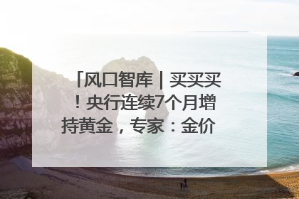 风口智库｜买买买！央行连续7个月增持黄金，专家：金价或仍易涨难跌