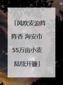 风吹麦浪阵阵香 海安市55万亩小麦陆续开镰