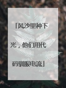 风沙里种下光，他们用代码驯服电流