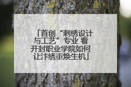首创“刺绣设计与工艺”专业 看开封职业学院如何让汴绣重焕生机