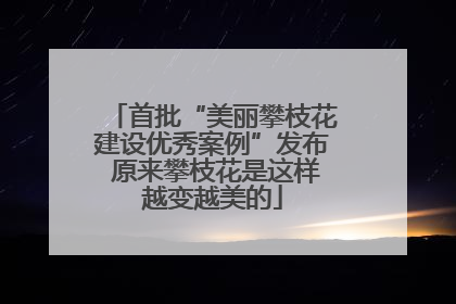 首批“美丽攀枝花建设优秀案例”发布 原来攀枝花是这样越变越美的