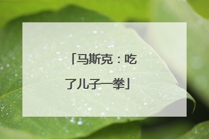 马斯克：吃了儿子一拳