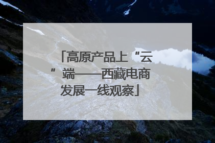 高原产品上“云”端——西藏电商发展一线观察