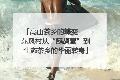 高山茶乡的蝶变——东风村从“鹧鸪营”到生态茶乡的华丽转身