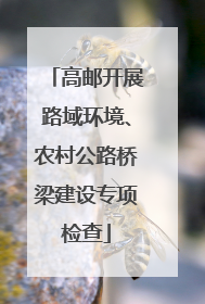 高邮开展路域环境、农村公路桥梁建设专项检查