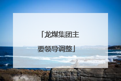 龙煤集团主要领导调整