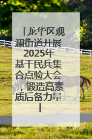 龙华区观澜街道开展2025年基干民兵集合点验大会，锻造高素质后备力量
