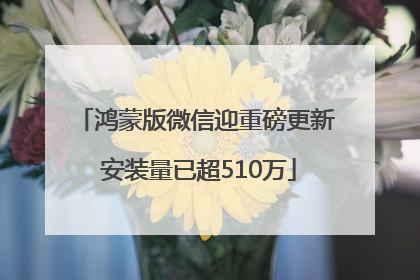 鸿蒙版微信迎重磅更新 安装量已超510万