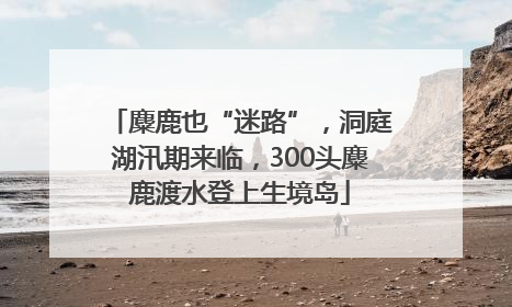 麋鹿也“迷路”，洞庭湖汛期来临，300头麋鹿渡水登上生境岛