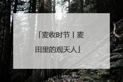 麦收时节丨麦田里的观天人