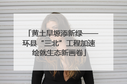 黄土旱塬添新绿——环县“三北”工程加速绘就生态新画卷