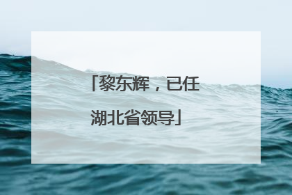 黎东辉，已任湖北省领导