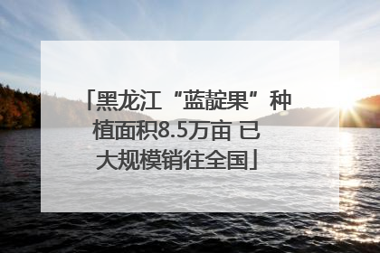 黑龙江“蓝靛果”种植面积8.5万亩 已大规模销往全国