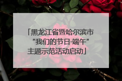 黑龙江省暨哈尔滨市“我们的节日·端午”主题示范活动启动
