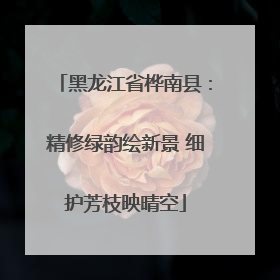 黑龙江省桦南县：精修绿韵绘新景 细护芳枝映晴空