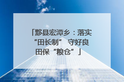 黟县宏潭乡：落实“田长制” 守好良田保“粮仓”