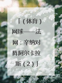 （体育）网球——法网：辛纳对阵阿尔卡拉斯（2）