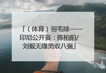 （体育）羽毛球——印尼公开赛：陈柏阳/刘毅无缘男双八强