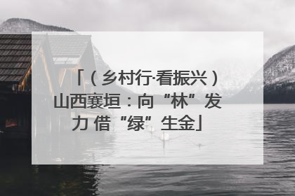 （乡村行·看振兴）山西襄垣：向“林”发力 借“绿”生金