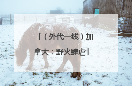 （外代一线）加拿大：野火肆虐
