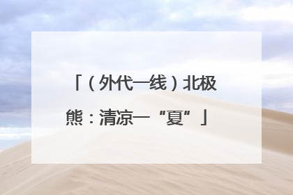 （外代一线）北极熊：清凉一“夏”