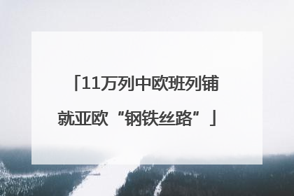 11万列中欧班列铺就亚欧“钢铁丝路”