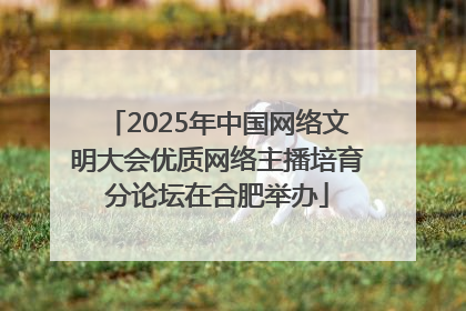 2025年中国网络文明大会优质网络主播培育分论坛在合肥举办