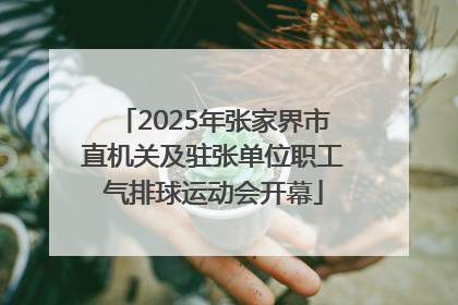 2025年张家界市直机关及驻张单位职工气排球运动会开幕