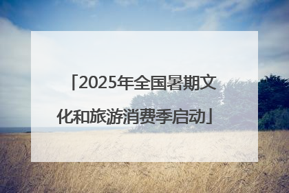 2025年全国暑期文化和旅游消费季启动