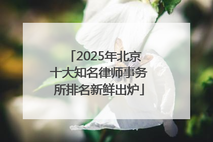 2025年北京十大知名律师事务所排名新鲜出炉