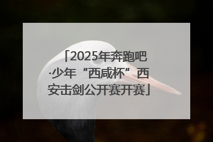 2025年奔跑吧·少年“西咸杯”西安击剑公开赛开赛