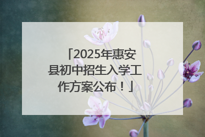 2025年惠安县初中招生入学工作方案公布！