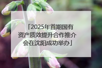 2025年首期国有资产质效提升合作推介会在沈阳成功举办