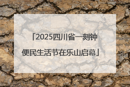 2025四川省一刻钟便民生活节在乐山启幕