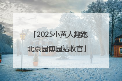 2025小黄人趣跑北京园博园站收官