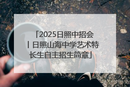 2025日照中招会丨日照山海中学艺术特长生自主招生简章