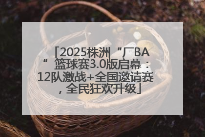 2025株洲“厂BA”篮球赛3.0版启幕：12队激战+全国邀请赛，全民狂欢升级