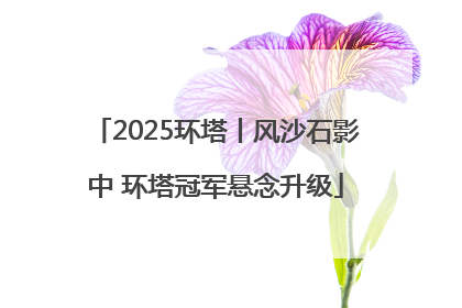 2025环塔丨风沙石影中 环塔冠军悬念升级