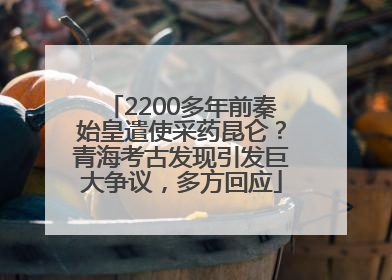 2200多年前秦始皇遣使采药昆仑？青海考古发现引发巨大争议，多方回应