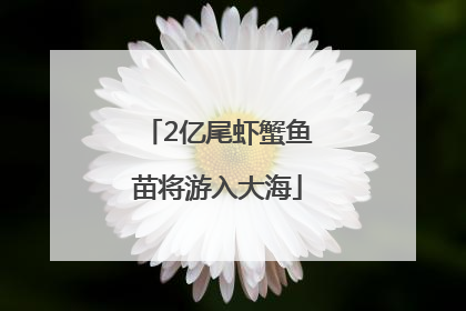 2亿尾虾蟹鱼苗将游入大海