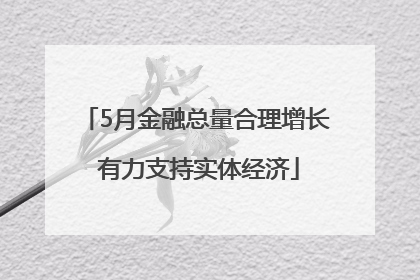 5月金融总量合理增长 有力支持实体经济