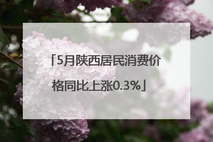 5月陕西居民消费价格同比上涨0.3%