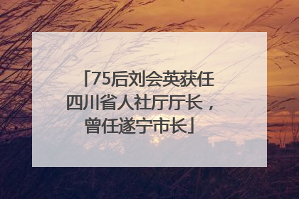 75后刘会英获任四川省人社厅厅长，曾任遂宁市长