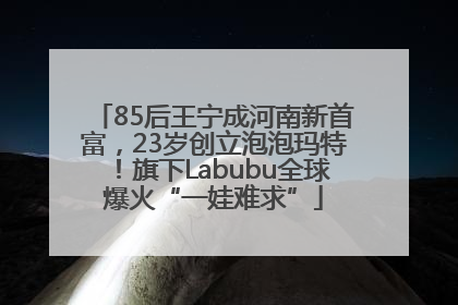 85后王宁成河南新首富，23岁创立泡泡玛特！旗下Labubu全球爆火“一娃难求”