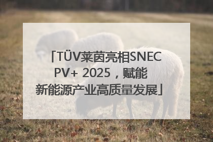 TÜV莱茵亮相SNEC PV+ 2025，赋能新能源产业高质量发展