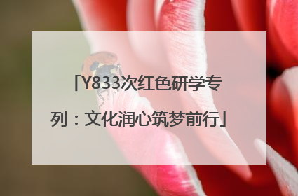 Y833次红色研学专列：文化润心筑梦前行